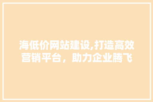 海低价网站建设,打造高效营销平台，助力企业腾飞