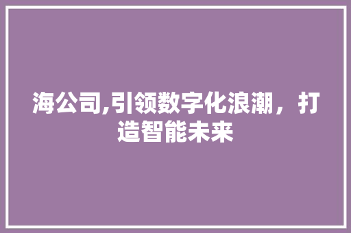 海公司,引领数字化浪潮，打造智能未来