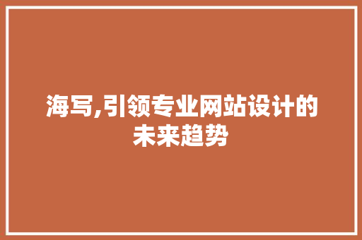 海写,引领专业网站设计的未来趋势