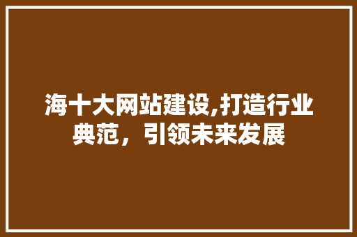 海十大网站建设,打造行业典范，引领未来发展