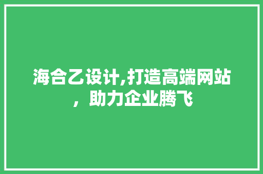 海合乙设计,打造高端网站，助力企业腾飞