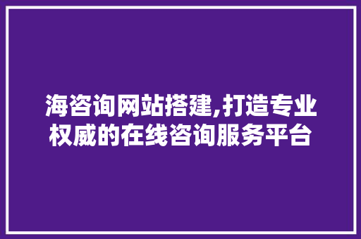 海咨询网站搭建,打造专业权威的在线咨询服务平台