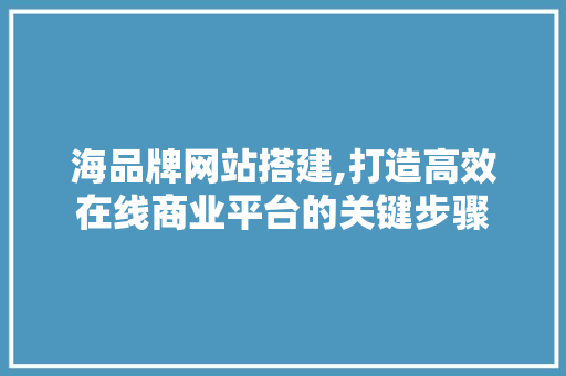 海品牌网站搭建,打造高效在线商业平台的关键步骤