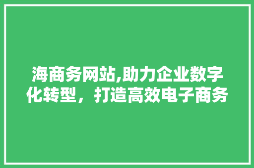 海商务网站,助力企业数字化转型，打造高效电子商务平台