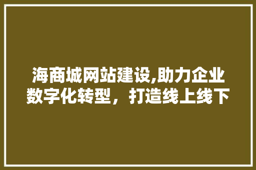 海商城网站建设,助力企业数字化转型，打造线上线下融合新格局