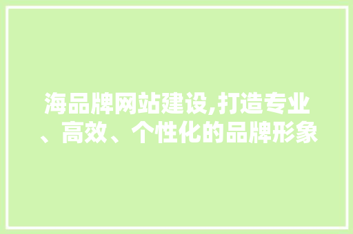 海品牌网站建设,打造专业、高效、个性化的品牌形象