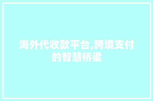 海外代收款平台,跨境支付的智慧桥梁