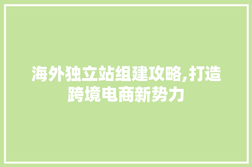 海外独立站组建攻略,打造跨境电商新势力