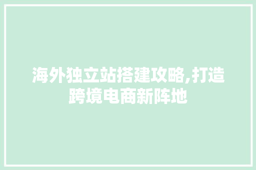 海外独立站搭建攻略,打造跨境电商新阵地