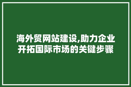 海外贸网站建设,助力企业开拓国际市场的关键步骤