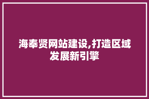 海奉贤网站建设,打造区域发展新引擎
