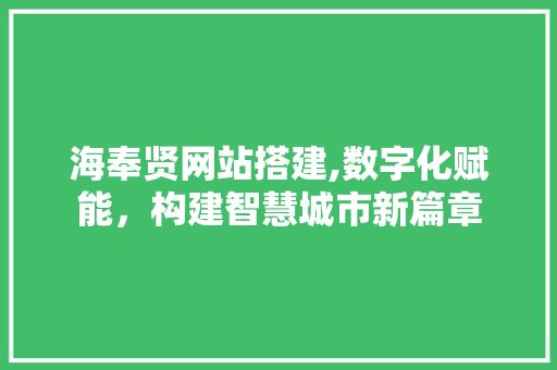 海奉贤网站搭建,数字化赋能，构建智慧城市新篇章