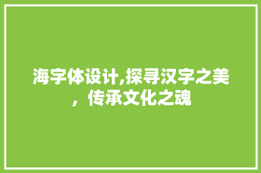 海字体设计,探寻汉字之美，传承文化之魂