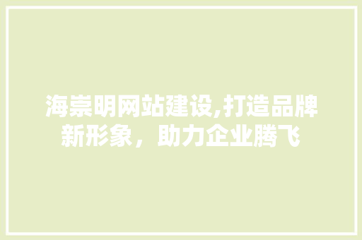 海崇明网站建设,打造品牌新形象，助力企业腾飞