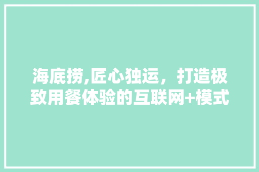 海底捞,匠心独运，打造极致用餐体验的互联网+模式