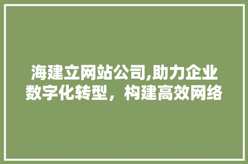 海建立网站公司,助力企业数字化转型，构建高效网络平台