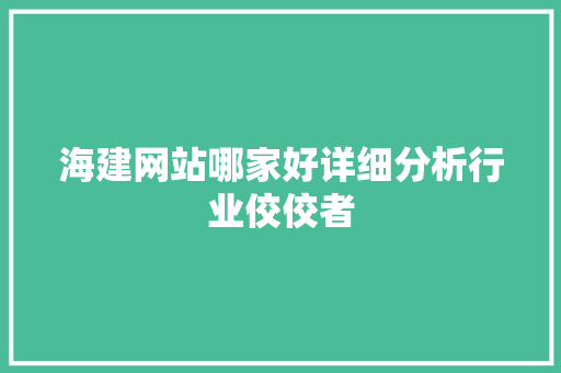 海建网站哪家好详细分析行业佼佼者
