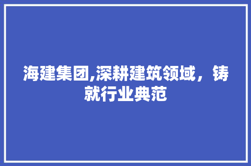 海建集团,深耕建筑领域，铸就行业典范