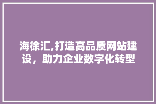 海徐汇,打造高品质网站建设，助力企业数字化转型