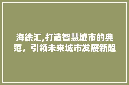 海徐汇,打造智慧城市的典范，引领未来城市发展新趋势