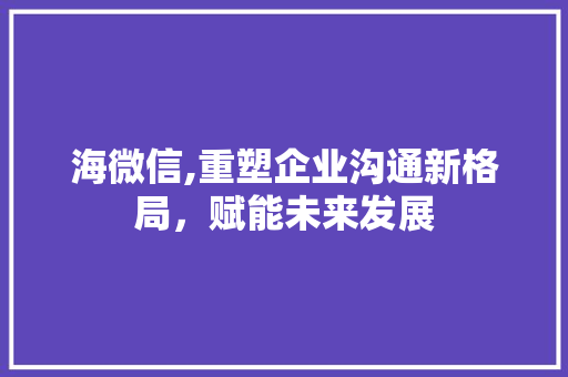 海微信,重塑企业沟通新格局，赋能未来发展