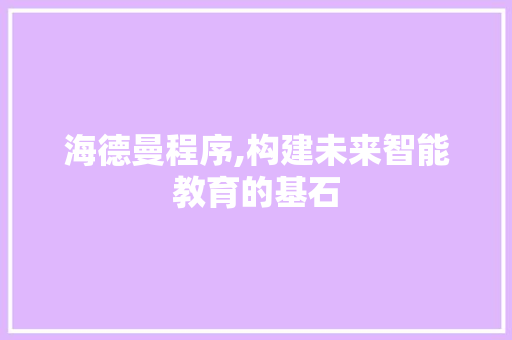 海德曼程序,构建未来智能教育的基石