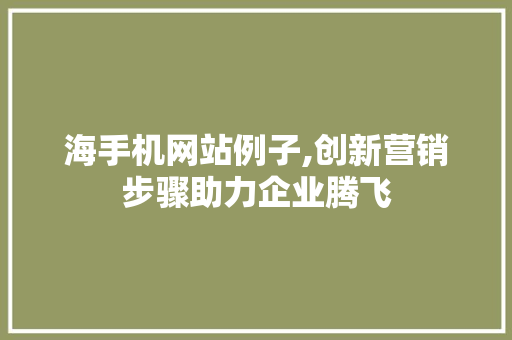 海手机网站例子,创新营销步骤助力企业腾飞