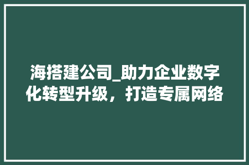 海搭建公司_助力企业数字化转型升级，打造专属网络家园