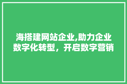 海搭建网站企业,助力企业数字化转型，开启数字营销新篇章 海搭建网站企业,助力企业数字化转型，开启数字营销新篇章 SEO关键词