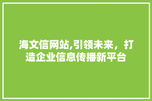 海文信网站,引领未来，打造企业信息传播新平台