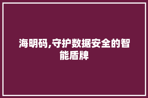海明码,守护数据安全的智能盾牌