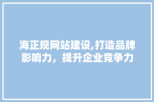 海正规网站建设,打造品牌影响力，提升企业竞争力