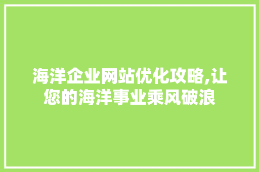 海洋企业网站优化攻略,让您的海洋事业乘风破浪
