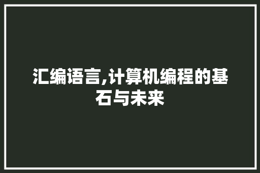 汇编语言,计算机编程的基石与未来 汇编语言,计算机编程的基石与未来 百度SEO