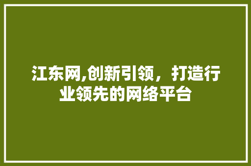 江东网,创新引领，打造行业领先的网络平台