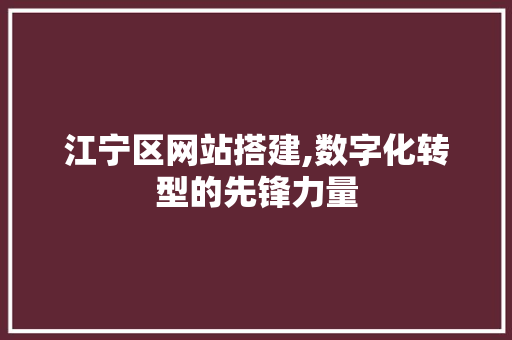 江宁区网站搭建,数字化转型的先锋力量