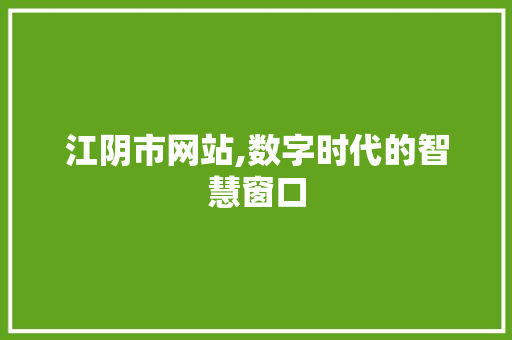 江阴市网站,数字时代的智慧窗口