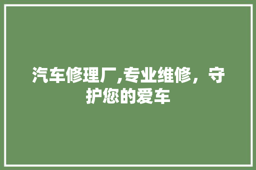 汽车修理厂,专业维修，守护您的爱车 汽车修理厂,专业维修，守护您的爱车 SEO关键词
