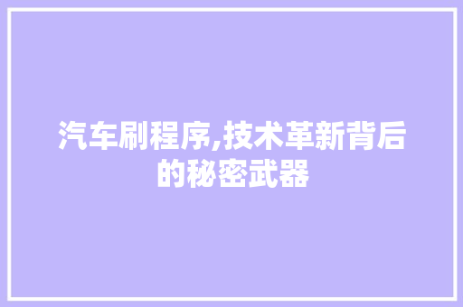 汽车刷程序,技术革新背后的秘密武器 汽车刷程序,技术革新背后的秘密武器 搜狗SEO