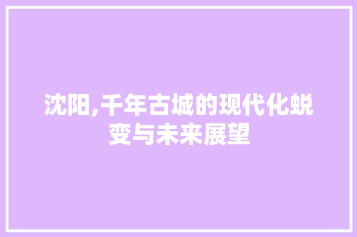 沈阳,千年古城的现代化蜕变与未来展望 沈阳,千年古城的现代化蜕变与未来展望 神马SEO