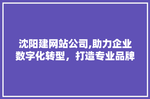 沈阳建网站公司,助力企业数字化转型，打造专业品牌形象 沈阳建网站公司,助力企业数字化转型，打造专业品牌形象 搜狗SEO