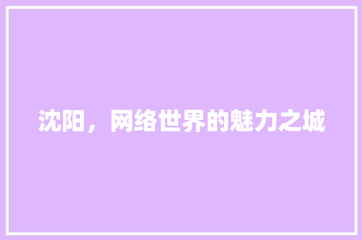 沈阳，网络世界的魅力之城 沈阳，网络世界的魅力之城 神马SEO