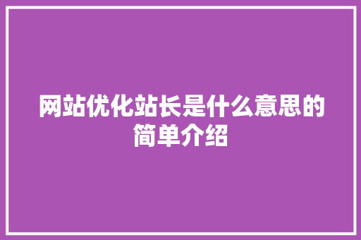 网站优化站长是什么意思的简单介绍 网站优化站长是什么意思的简单介绍 必应SEO