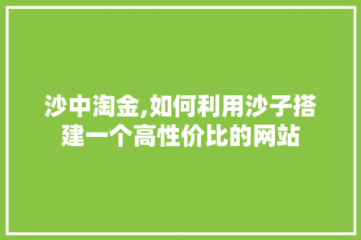沙中淘金,如何利用沙子搭建一个高性价比的网站 沙中淘金,如何利用沙子搭建一个高性价比的网站 SEO关键词