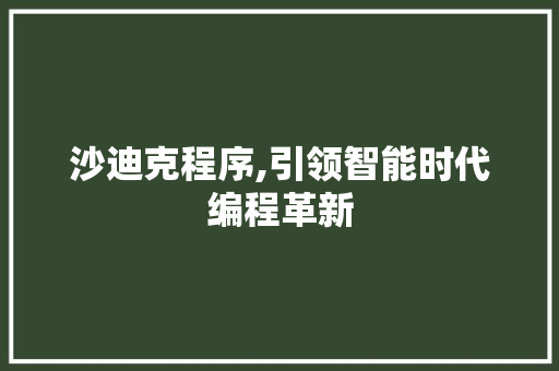 沙迪克程序,引领智能时代编程革新