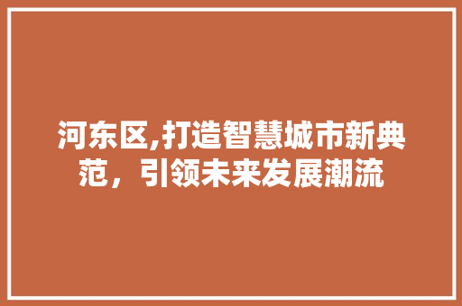 河东区,打造智慧城市新典范，引领未来发展潮流 河东区,打造智慧城市新典范，引领未来发展潮流 必应SEO
