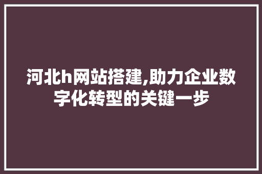河北h网站搭建,助力企业数字化转型的关键一步 河北h网站搭建,助力企业数字化转型的关键一步 神马SEO