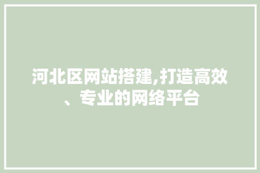 河北区网站搭建,打造高效、专业的网络平台 河北区网站搭建,打造高效、专业的网络平台 神马SEO