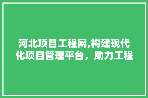 河北项目工程网,构建现代化项目管理平台，助力工程行业腾飞 河北项目工程网,构建现代化项目管理平台，助力工程行业腾飞 神马SEO