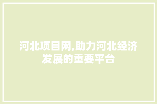 河北项目网,助力河北经济发展的重要平台 河北项目网,助力河北经济发展的重要平台 网站建设公司